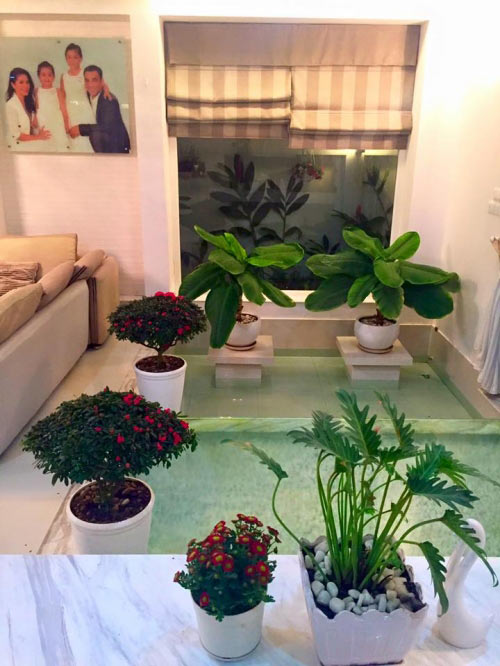 Khám phá bên trong biệt thự triệu đô của Quyền Linh - 6