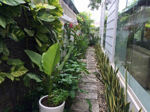 Khám phá bên trong biệt thự triệu đô của Quyền Linh - 7