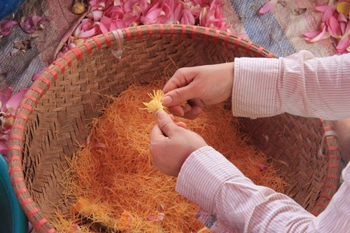 Trà cổ Hà Nội 7 triệu đồng/kg ướp từ 1200 bông hoa sen - 4