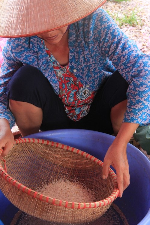 Trà cổ Hà Nội 7 triệu đồng/kg ướp từ 1200 bông hoa sen - 5