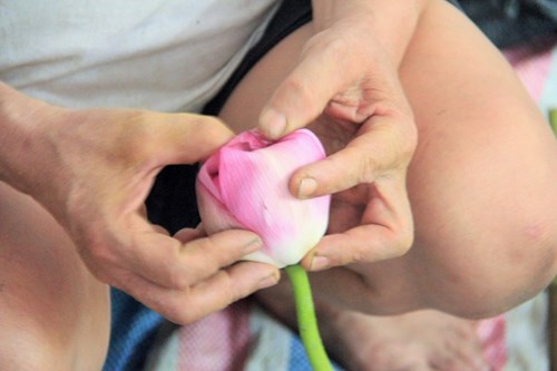 Trà cổ Hà Nội 7 triệu đồng/kg ướp từ 1200 bông hoa sen - 8