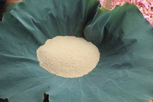 Trà cổ Hà Nội 7 triệu đồng/kg ướp từ 1200 bông hoa sen - 6