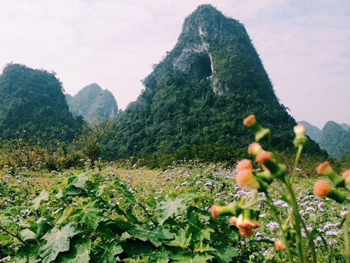 Đến Cao Bằng ngày nắng và ngắm “tuyệt tình cốc” phiên bản Cao Bằng - 5