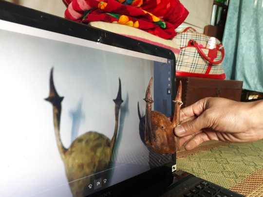 Nhặt được sừng lạ, trả hàng trăm triệu chưa bán - 3