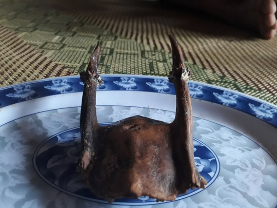 Nhặt được sừng lạ, trả hàng trăm triệu chưa bán - 4