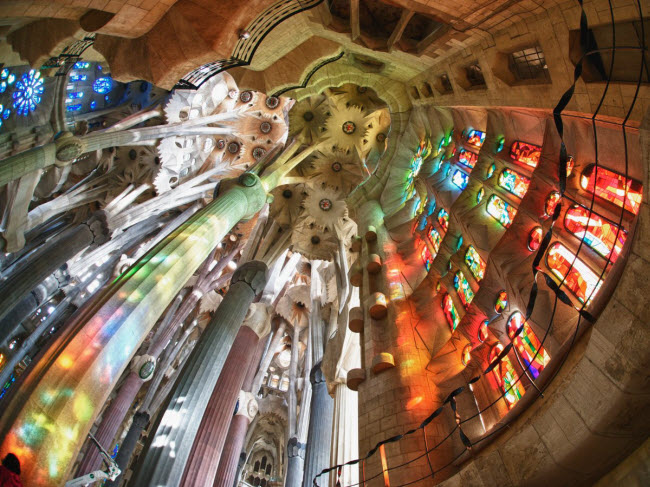 Nội thất vô cùng ấn tượng trong Vương cung thánh đường Sagrada Família.