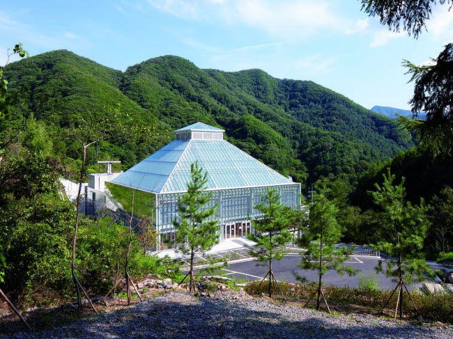 Nhà thờ Light of Life được bao quanh bởi những cánh rừng xanh mướt ở Seoul, Hàn Quốc.