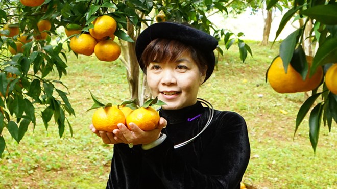 Nữ tiến sĩ giải mã “túi khôn của người Tày” - 1