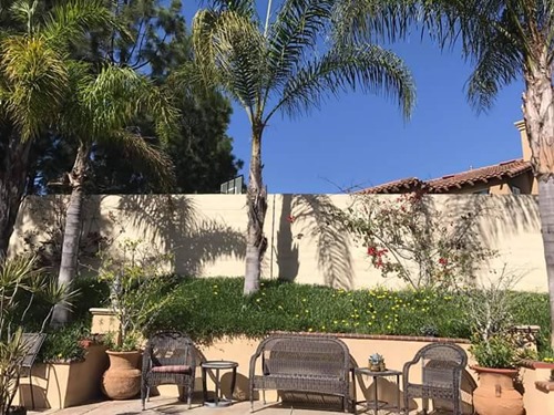 40 tuổi, Thanh Thảo sở hữu khối tài sản "khổng lồ" - 2