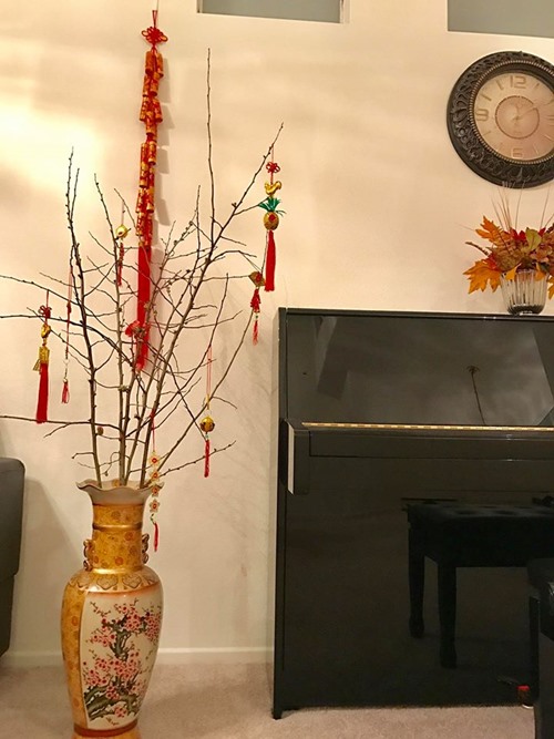 40 tuổi, Thanh Thảo sở hữu khối tài sản "khổng lồ" - 6