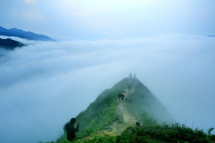 Săn mây trên &#39;lưng khủng long&#39; Tà Xùa - 9