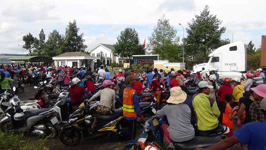 Gần 700 công nhân ngừng việc vì... 3 trái bắp - 2