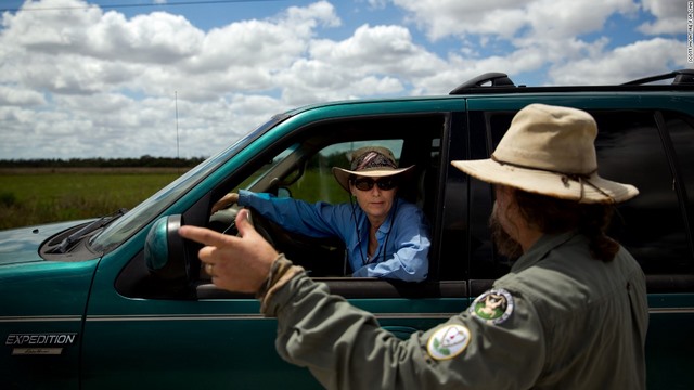 Nguy hiểm rình rập người săn trăn khổng lồ ở Mỹ - 3