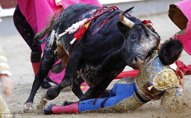 Bị bò tót 4 tạ húc xuyên họng, thủng lưỡi ở Tây Ban Nha - 1