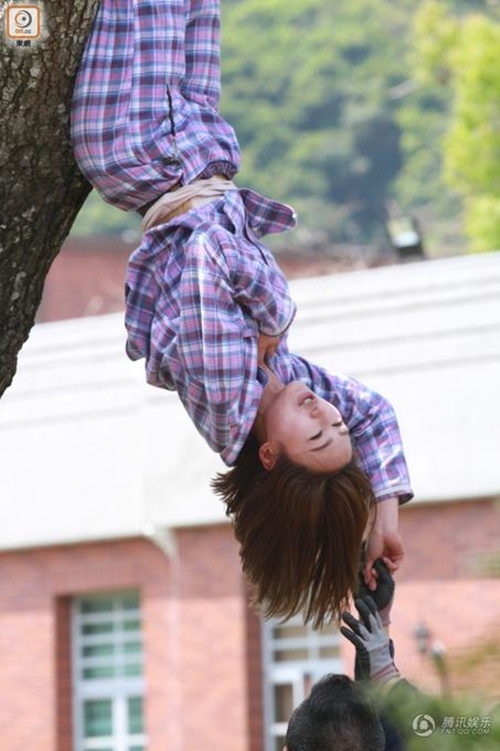 Đu cây giống "Tấm" Hạ Vi, mỹ nữ gặp họa "tởn đến già" - 2