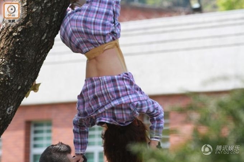 Đu cây giống "Tấm" Hạ Vi, mỹ nữ gặp họa "tởn đến già" - 3