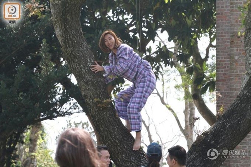 Đu cây giống "Tấm" Hạ Vi, mỹ nữ gặp họa "tởn đến già" - 4