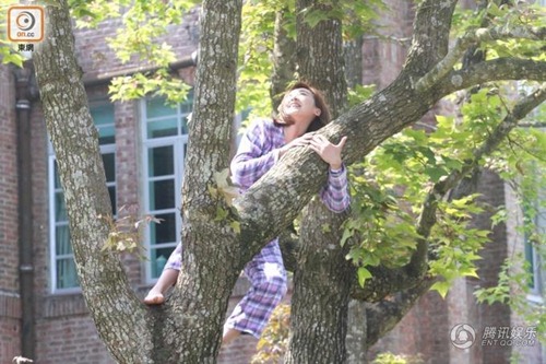 Đu cây giống "Tấm" Hạ Vi, mỹ nữ gặp họa "tởn đến già" - 7