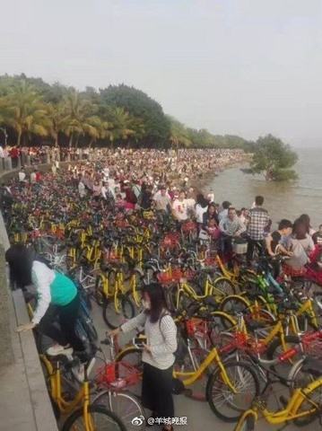 Vạn xe đạp chen nhau không lối thoát ở Trung Quốc - 3