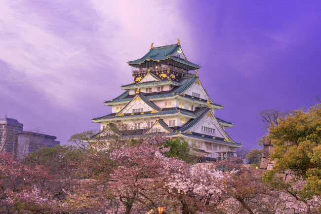 Nhật Bản là một trong những địa điểm du lịch lý tưởng nhất vào mùa xuân khi hoa anh đảo nở rộ, như khung cảnh quanh lâu đài Osaka trong bức ảnh này.