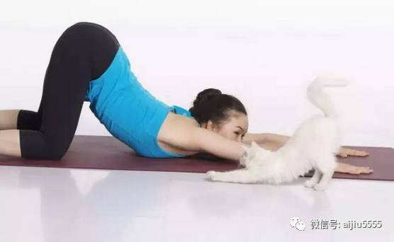 10 phút tập bài yoga siêu đơn giản để khỏe &#34;từ trong ra ngoài&#34; - 1