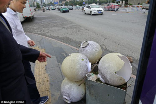 Mưa đá to khủng khiếp ở Trung Quốc - 5