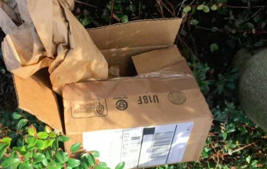 Tên trộm lịch sự nhất quả đất là đây - 4