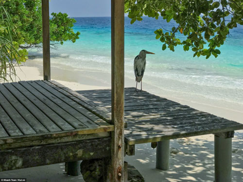 &#34;Bỏ túi&#34; ngay bí kíp du lịch Maldives giá rẻ - 7