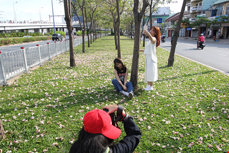 Ngất ngây với hoa kèn bên hầm Thủ Thiêm - 14