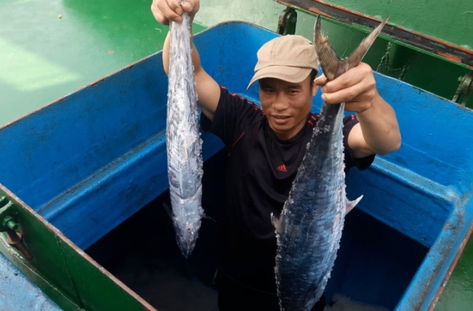 Ngư dân Hà Tĩnh trúng đậm mẻ cá thu giá gần 400 triệu đồng - 1