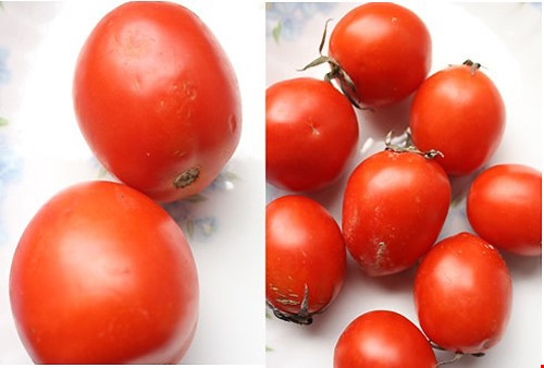 Dễ dàng nhận biết cà chua có hóa chất - 1