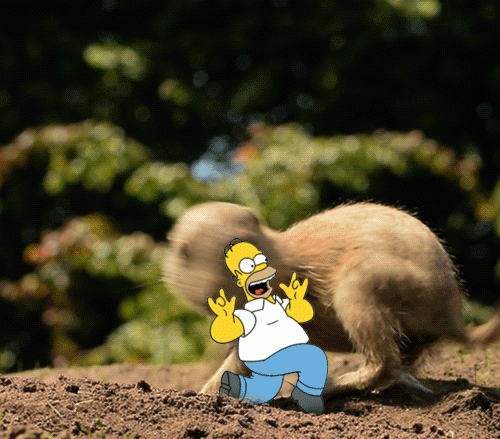 Ảnh động: Rơi vào cảnh "éo le" vì "thánh" photoshop - 3