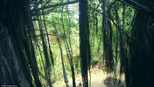 Tận thấy nơi khai sinh sự tích Thạch Sach giết chằn tinh - 11