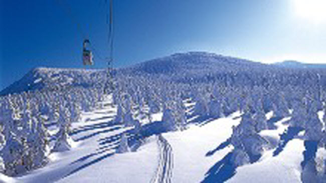 Nằm ở tỉnh Yamagata, Zao Onsen là một trong những khu nghỉ dưỡng trượt tuyết nổi tiếng nhất Nhật Bản với 15 đường trượt.