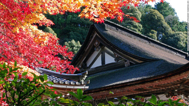 Nằm trên dãy núi Suzuka, đền Saimyoji là một trong ba công trình đạo Phật cổ ở Shiga.