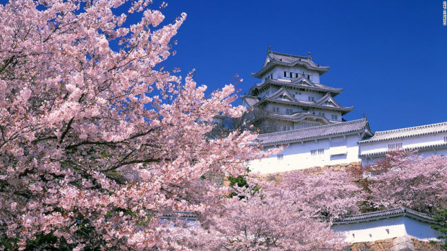 Lâu đài Himeji được xây dựng từ thế kỷ thứ 17 tại tỉnh Hyogo.