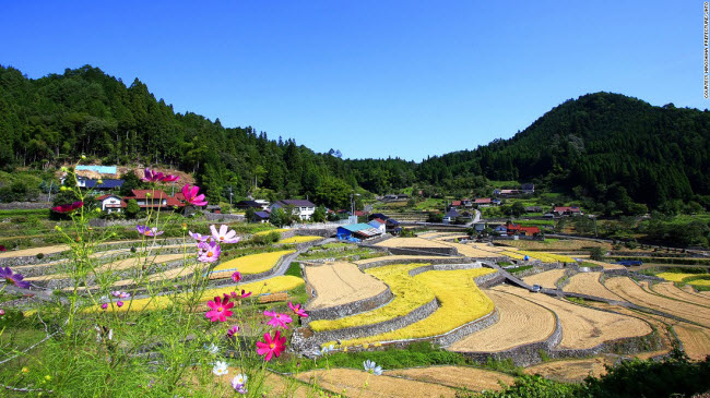 Thị trấn Ini Tanada ở tỉnh Hiroshima hơn 320 ruộng bậc thang canh tác lúa nước. Thửa ruông lâu đời nhất có niên đại tới hơn 500 năm.