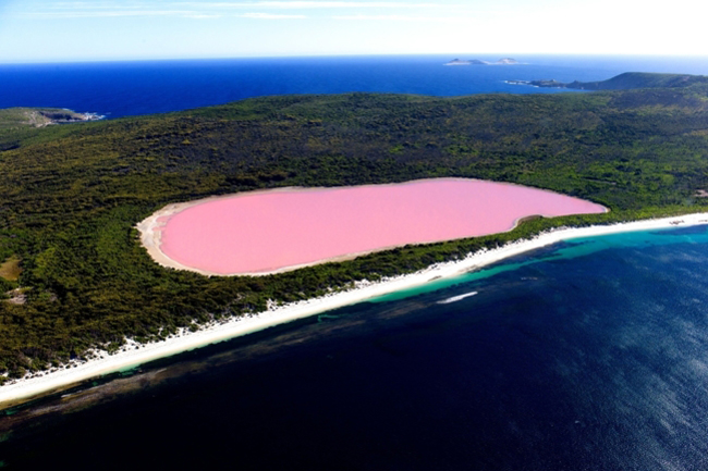 3. Hồ Hillier, Úc: Hồ Hillier nằm ở đảo Middle phía tây nam của nước Úc, hồ nước màu hồng lạ mắt này được phát hiện vào năm 1802, màu nước vẫn như thế từ ngày này qua ngày khác.

