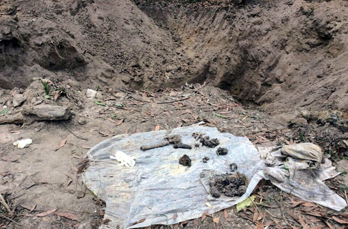 Tìm thấy hố chôn tập thể liệt sĩ tại sân bay Biên Hòa - 1