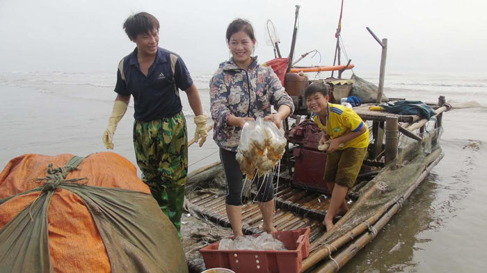 Sứa dày đặc trên biển, ngư dân Nghệ An đi vớt kiếm tiền triệu/ngày - 3