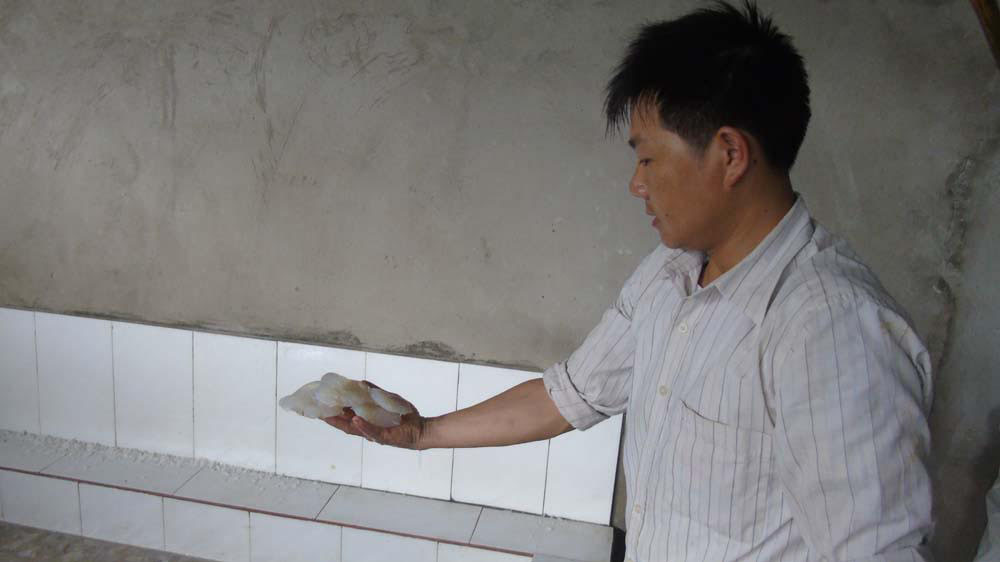Sứa dày đặc trên biển, ngư dân Nghệ An đi vớt kiếm tiền triệu/ngày - 7