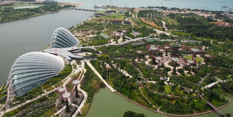 Lý Quang Diệu dùng &#34;phép&#34; gì phủ cây xanh kín Singapore? - 1