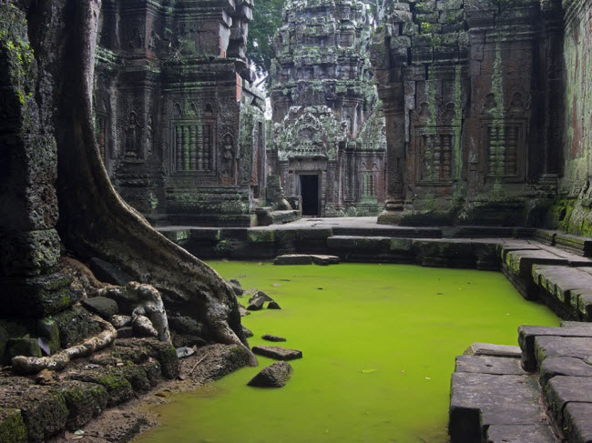 Tham quan khu đền cổ Angkor Wat ở Campuchia.