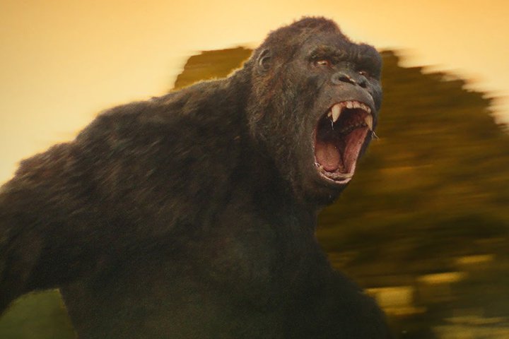 &#34;King Kong&#34; phiên bản truyền hình sẽ quay trở lại Việt Nam? - 2