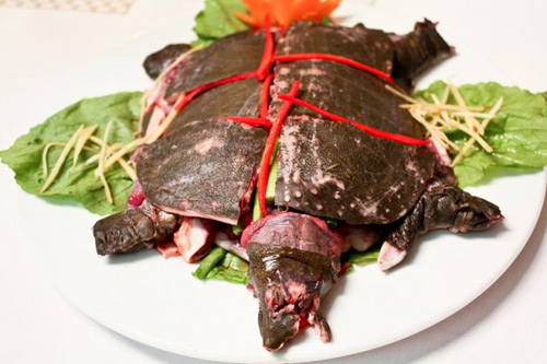 Món ngon từ baba –Tráng dương bổ khí huyết tuổi trung niên - 3