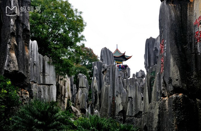 Nơi nào nhiều núi, nơi đó dành cho bầy khỉ - quần thể núi đá Thạch Lâm, thuộc công viên rừng quốc gia Thạch Lâm, một trong những danh lam thắng cảnh nổi tiếng nhất của Côn Minh, Vân Nam, được gọi là “thiên hạ đệ nhất kỳ quan”.