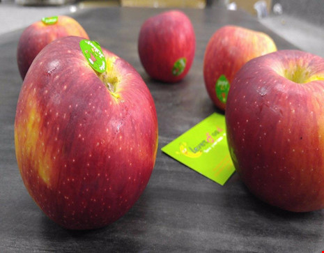 Nếu bị sưng lợi, bạn nên chữa trị theo 8 cách này - 4