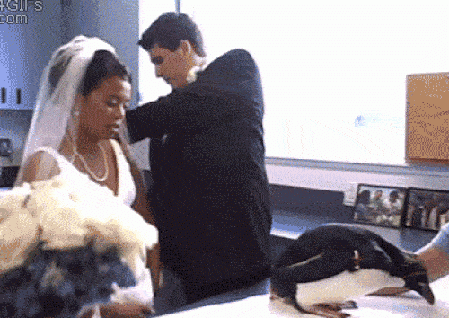 Ảnh động: "Bi hài" với các tai nạn ở đám cưới - 11