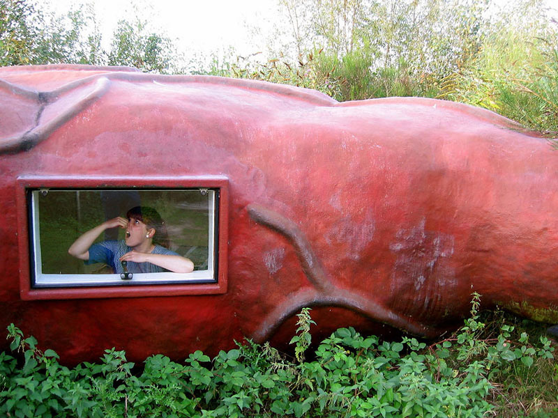 Bạn có muốn ngủ một đêm trong “khách sạn hậu môn”? - 5