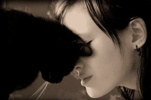 Muốn chữa bách bệnh chỉ cần... nuôi mèo - 5